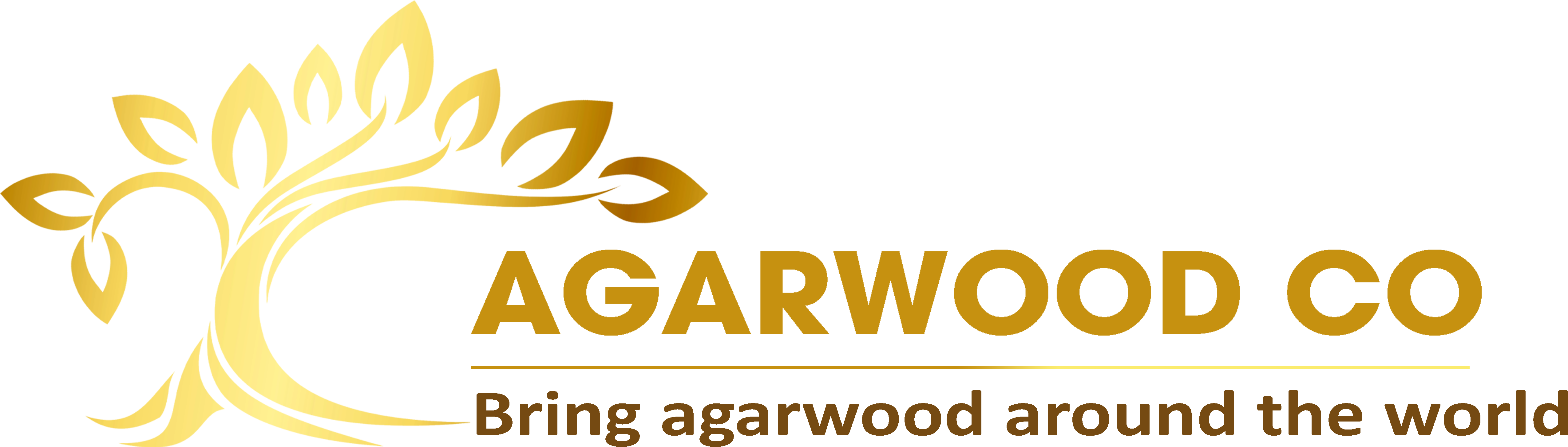 Agarwood Co in Vietnam